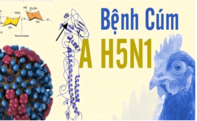 Thông tin nhanh về trường hợp viêm não do virút cúm gia cầm H5N1 đang điều trị tại Bệnh viện Nhi Đồng 1